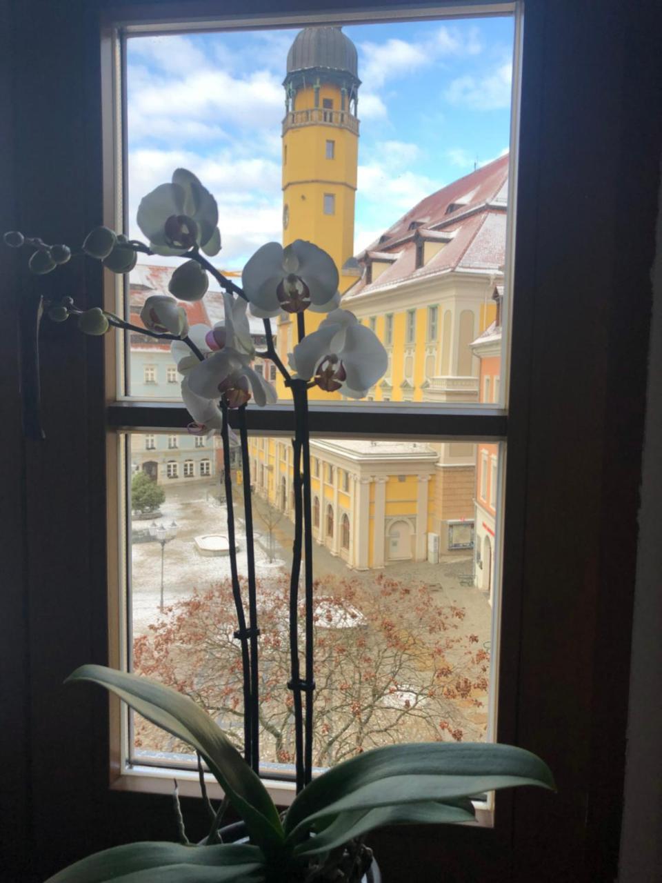 Zum Handtuch Bautzen Dış mekan fotoğraf
